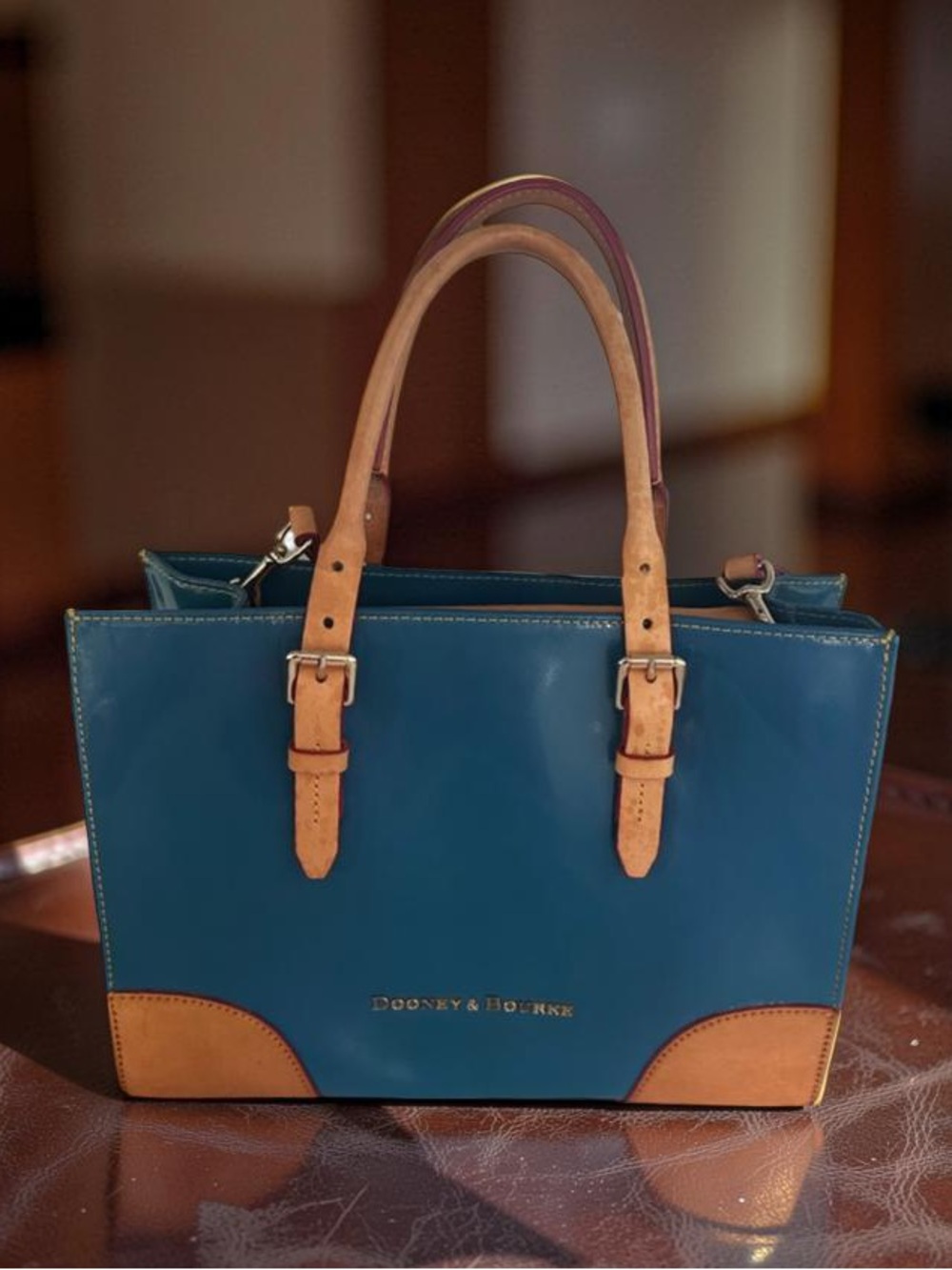 Dooney & Bourke Janine Satchel in Blue Patent and Brown Leather Trim